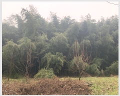  2024Ÿ50245 泲   ȭ 664-1      (Ӿ)