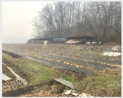  2024Ÿ50245 泲   ȭ 664-1      (Ӿ)