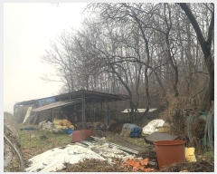  2024Ÿ50245 泲   ȭ 664-1      (Ӿ)