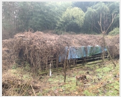  2024Ÿ50245 泲   ȭ 664-1      (Ӿ)