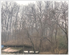  2024Ÿ50245 泲   ȭ 664-1      (Ӿ)