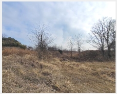  2024Ÿ��50757  ����