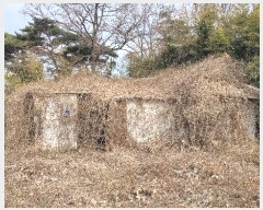  2024Ÿ��50757  ����