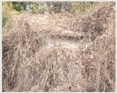  2024Ÿ��50757  ����