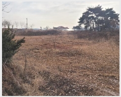  2024Ÿ��50757  ����