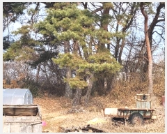  2024Ÿ��50757  ����