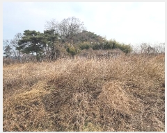  2024Ÿ��50757  ����