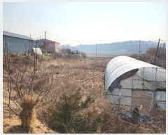  2024Ÿ50856 泲  ۾ ︮ 492-8      ()