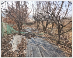  2024Ÿ50856 泲  ۾ ︮ 492-8      ()