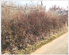  2024Ÿ50856 泲  ۾ ︮ 492-8      ()