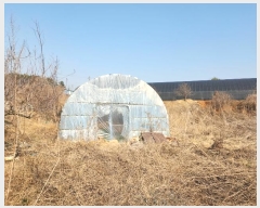  2024Ÿ50856 泲  ۾ ︮ 492-8      ()