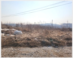  2024Ÿ50856 泲  ۾ ︮ 492-8      ()