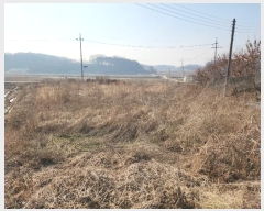  2024Ÿ50856 泲  ۾ ︮ 492-8      ()