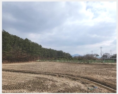  2024Ÿ��51064  �Ӿ߰��