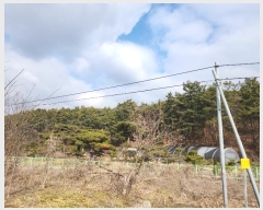  2024Ÿ51064 泲  ع̸ ݾ縮 242-13      (Ӿ)