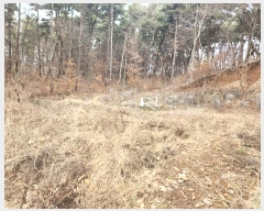  2024Ÿ51064 泲  ع̸ ݾ縮 242-13      (Ӿ)