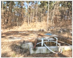  2024Ÿ51064 泲  ع̸ ݾ縮 242-13      (Ӿ)