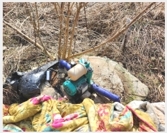  2024Ÿ51064 泲  ع̸ ݾ縮 242-13      (Ӿ)