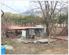  2024Ÿ51064 泲  ع̸ ݾ縮 242-19      ð