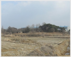  2024Ÿ��51743  �Ӿ߰��