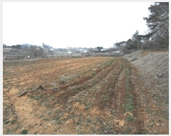  2024Ÿ��51743  �Ӿ߰��