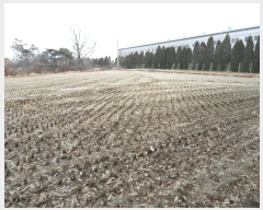  2024Ÿ��51743  �Ӿ߰��