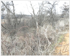  2024Ÿ��51743  �Ӿ߰��