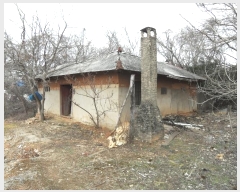  2024Ÿ��51743  �Ӿ߰��