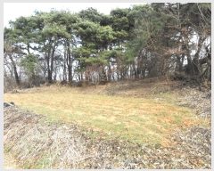  2024Ÿ��51743  �Ӿ߰��