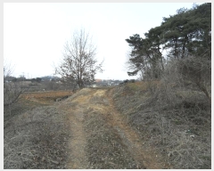  2024Ÿ��51743  �Ӿ߰��