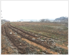  2024Ÿ��51743  �Ӿ߰��