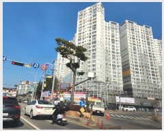 2024Ÿ51873 泲   17, 109 7704ȣ (õ,ũ伭)    Ʈ