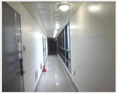  2024Ÿ52531 泲   3 123, 2208ȣ (尡ǽ)    ǽڰ