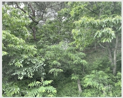  2024Ÿ��54636  ������