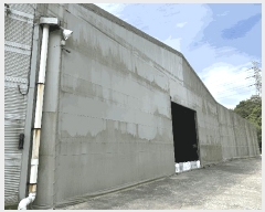  2024Ÿ��54636  ������