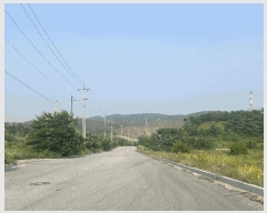  2024Ÿ54650 泲   긮 423-21      (Ӿ)