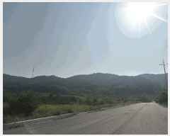  2024Ÿ54650 泲   긮 423-21      (Ӿ)