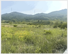  2024Ÿ54650 泲   긮 423-21      (Ӿ)