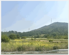  2024Ÿ54650 泲   긮 423-21      (Ӿ)