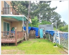  2024Ÿ��54902  ���(ķ����)���