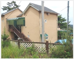  2024Ÿ��54902  ���(ķ����)���