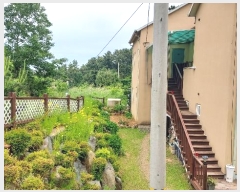  2024Ÿ��54902  ���(ķ����)���