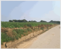  2024Ÿ55127 泲   õ 631      (1)