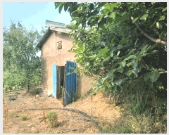  2024Ÿ55127 泲   õ 631      (1)