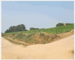  2024Ÿ55127 泲   õ 631      (1)