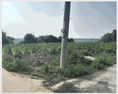  2024Ÿ55127 泲   õ 631      (1)