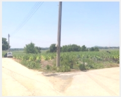  2024Ÿ55127 泲   õ 631      (1)