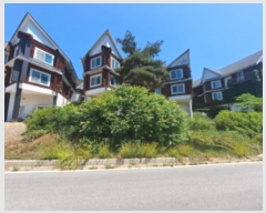  2024Ÿ��55288  �ٰ������ð��