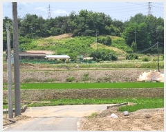  2024Ÿ55554 泲  õ ϸ 183-1      (1)