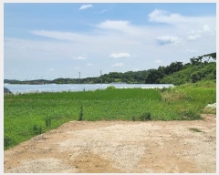  2024Ÿ55554 泲  õ ϸ 183-1      (1)